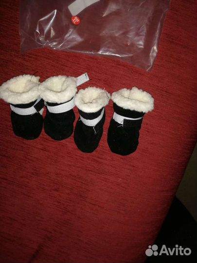 Обувь для собак