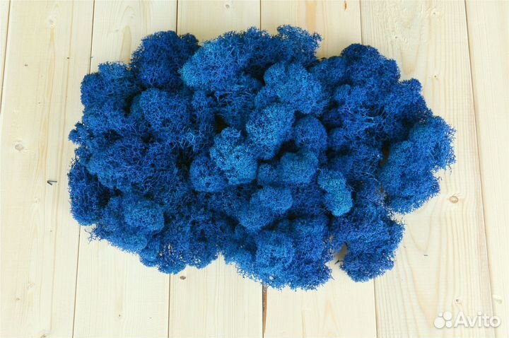 Стабилизированный мох от производителя