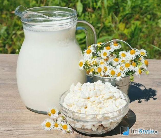 Молоко,сыр, творог и мацони