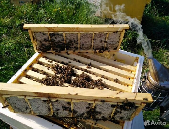 Упаковка для сотового мёда