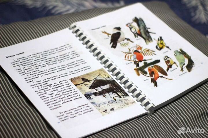 Печать документов, книг, учебников