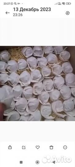 Инкубационное яйцо