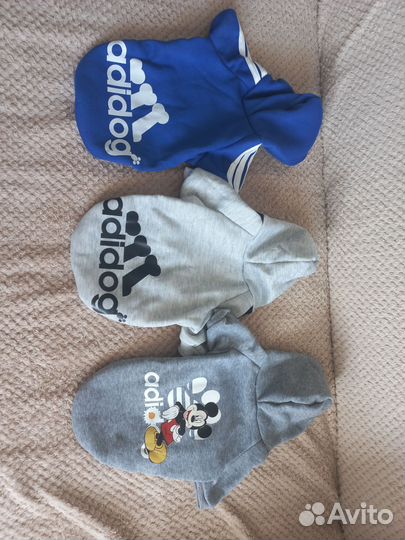 Одежда для собак новая