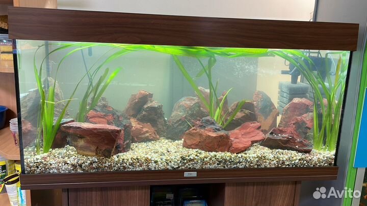 Аквариум Juwel бу