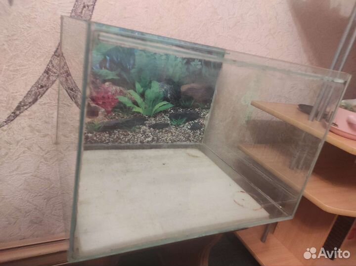 Аквариум