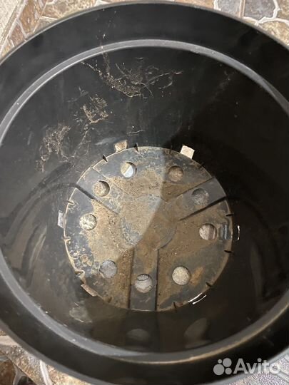 Горшки для саженцев