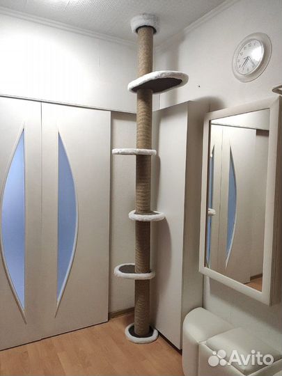 Когтеточка от пола до потолка