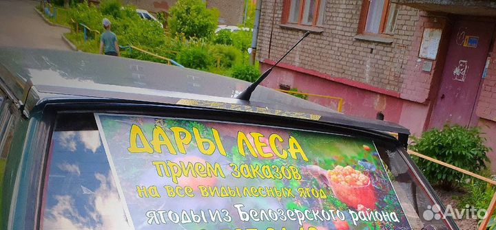 Принимаются заказы на ягоды морошка