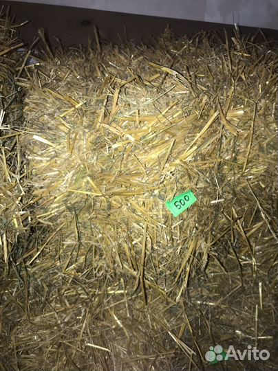 Сено солома в тюках аннинский район