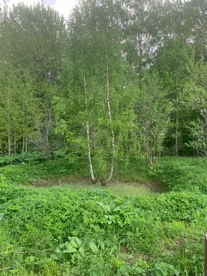 Участок 12 сот. (ИЖС)