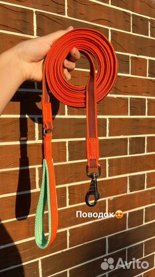 Ошейники Поводки Шлейки Амуниция для собак