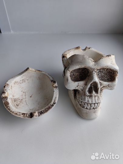 Череп пепельница шкатулка