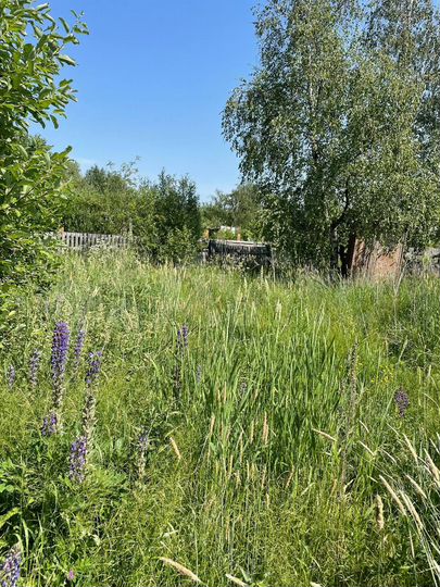 Участок 6 сот. (СНТ, ДНП)