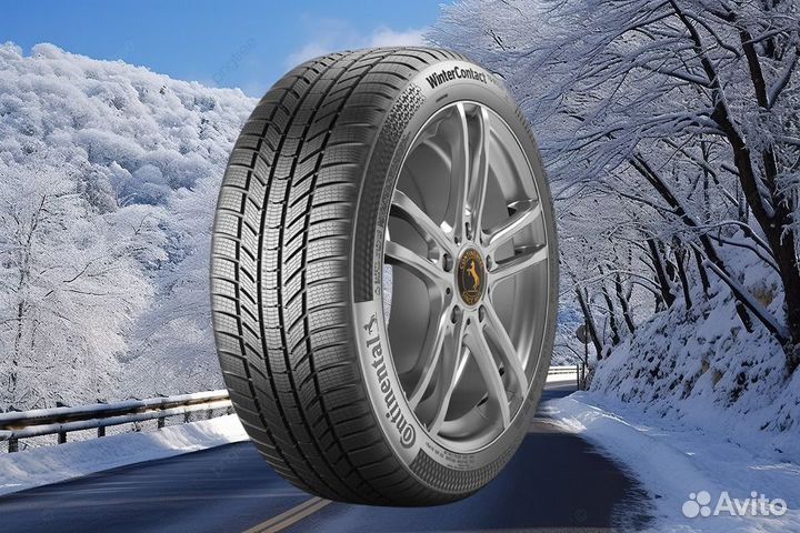 Continental WinterContact TS 870 P 225/45 R19 96V