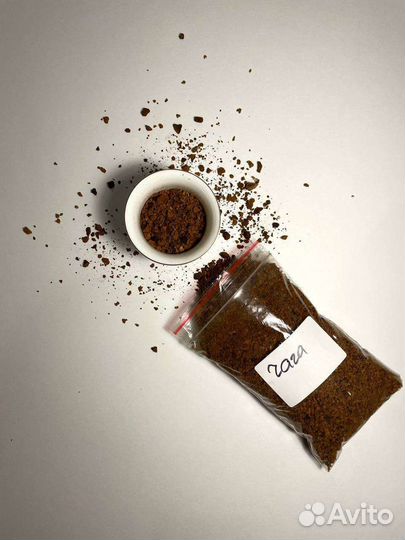 Березовый гриб чага