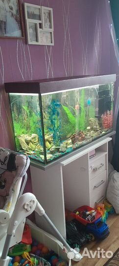 Аквариум готовый на 166л
