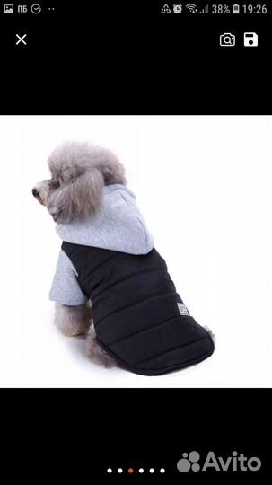 Зимняя куртка для собак