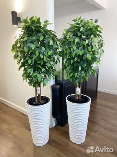 Искусственное дерево / фитокартина для офиса