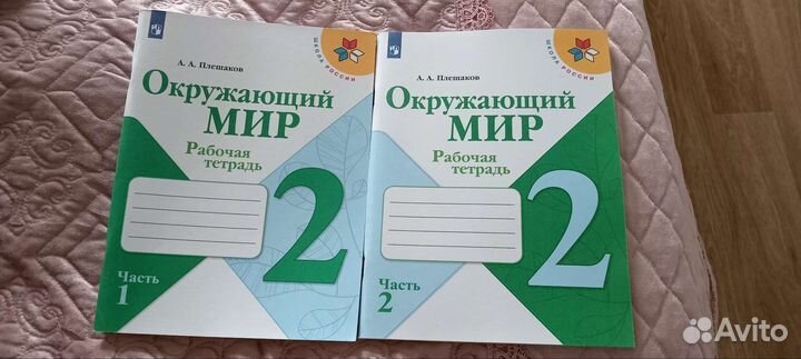 Рабочая тетрадь окружающий мир 2 класс