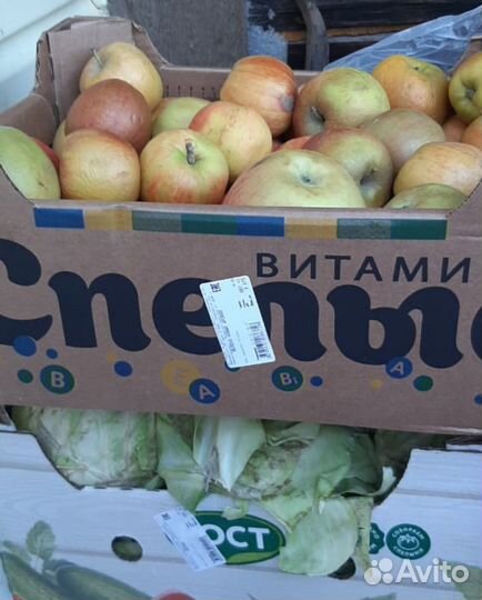 Продукция на корм животным