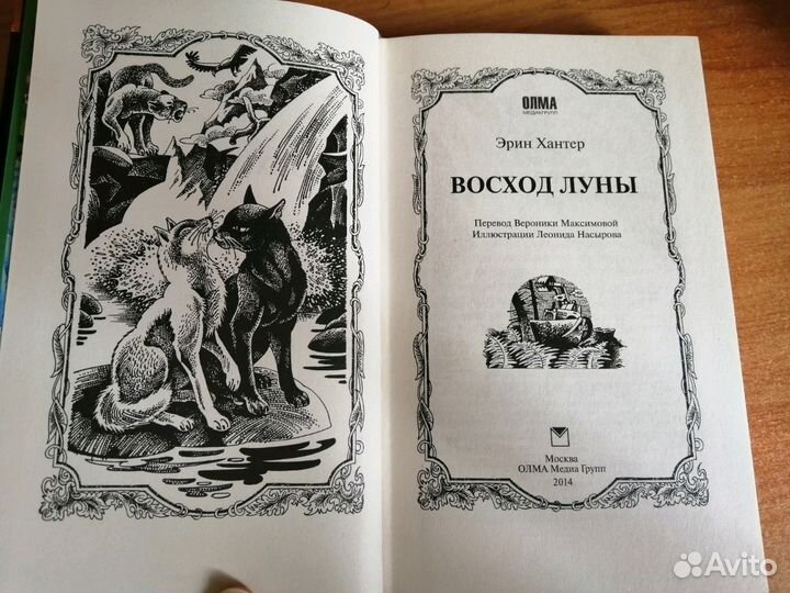 Эрин Хантер. Коты-Воители 