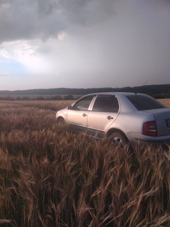 Skoda Fabia: фото владельца