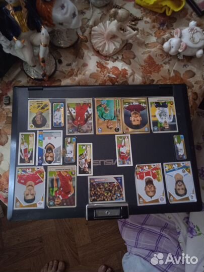 Ноутбук с отпечатком