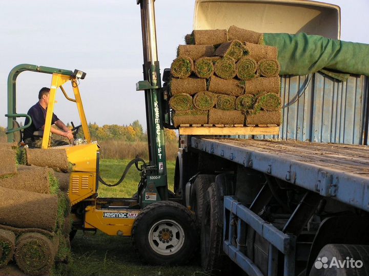 Рулонный Газон