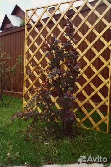 Шпалера (опоры и решетки) для садовых растений