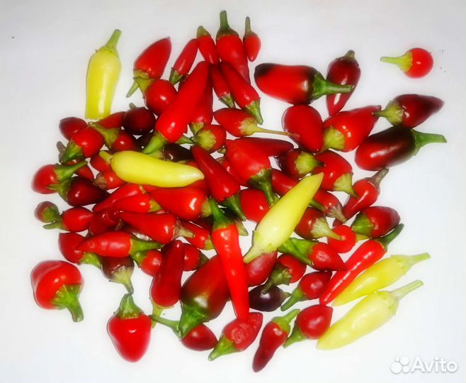 Семена острых перцев. Набор 5 сортов по 10 семян