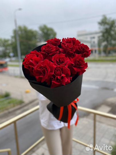 Роза мадам софи с доставкой