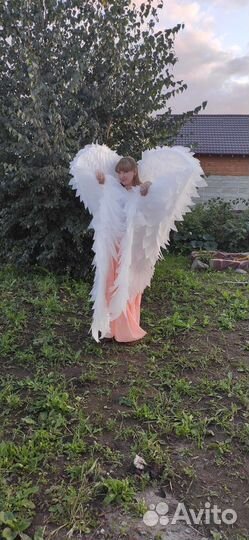 Большие крылья