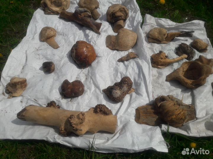 Кап (сувель)