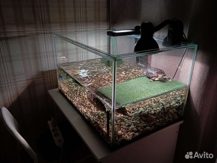 Аквариум террариум с черепахами