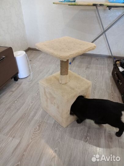 Когтеточка с домиком бу