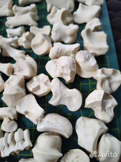 Кости набор