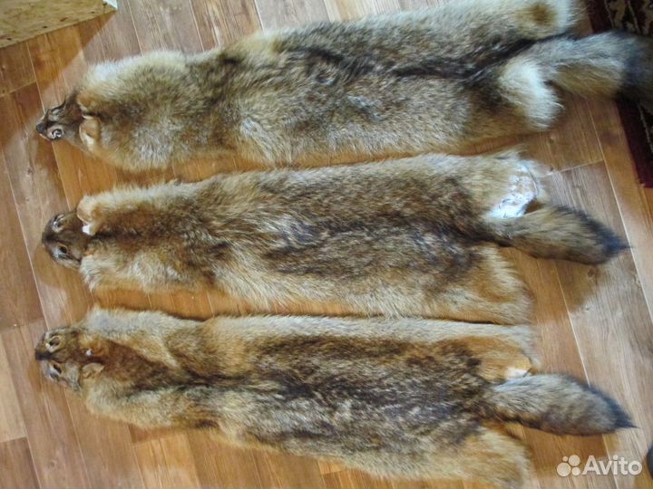 Шкура волка