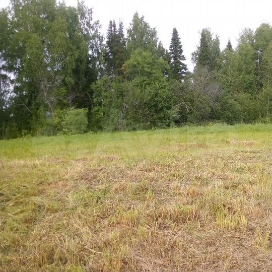 Участок 21 сот. (ИЖС)