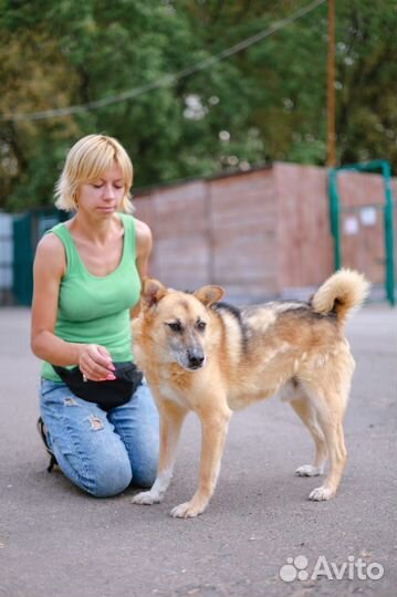 Весёлый Радик подарит вам счастье