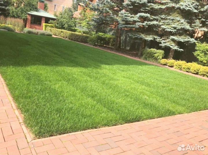 Рулонный газон