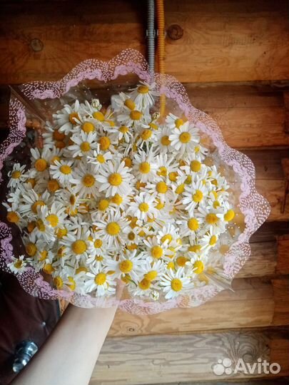 Букеты из ромашек