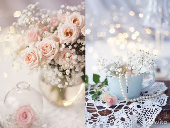 Предметный/контент фотограф