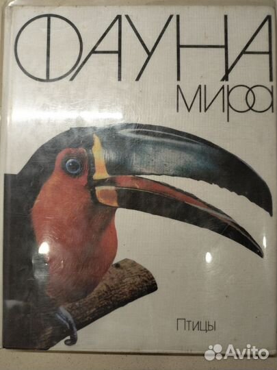 Справочник серии Фауна мира. Птицы