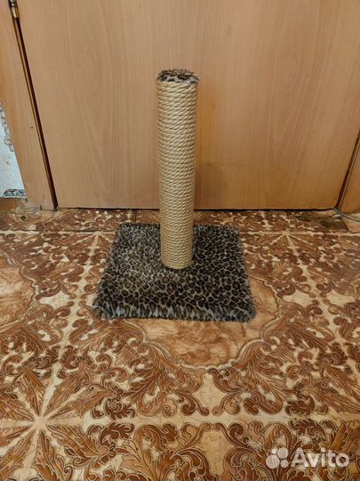 Когтеточка для кошек