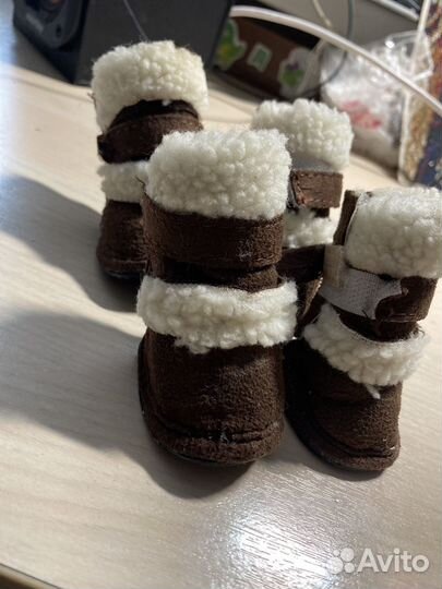 Ботинки для маленьких собак