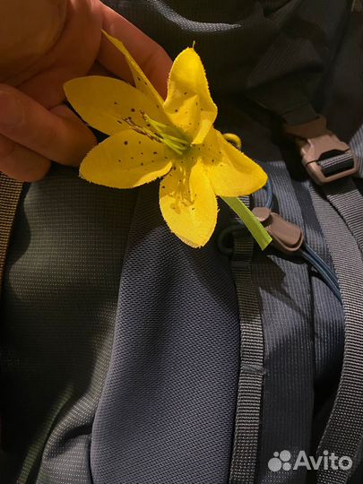 Рюкзак женский deuter aircontact 55+15 sl