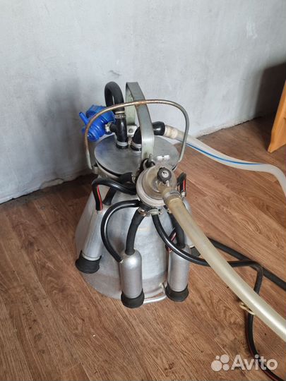 Коровы дойные молочные аппарат