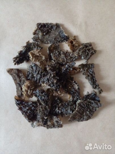 Сушеные лакомства для собак