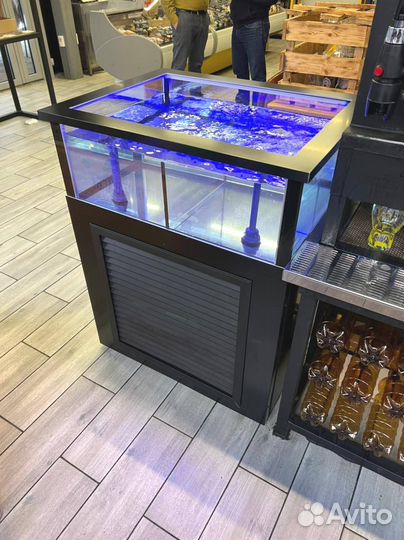 Аквариум-витрина для живых раков