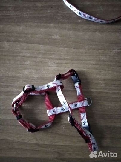Шлейка с поводком